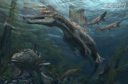 ⑤スピノサウルス復元画：cDavide-Bonadonna