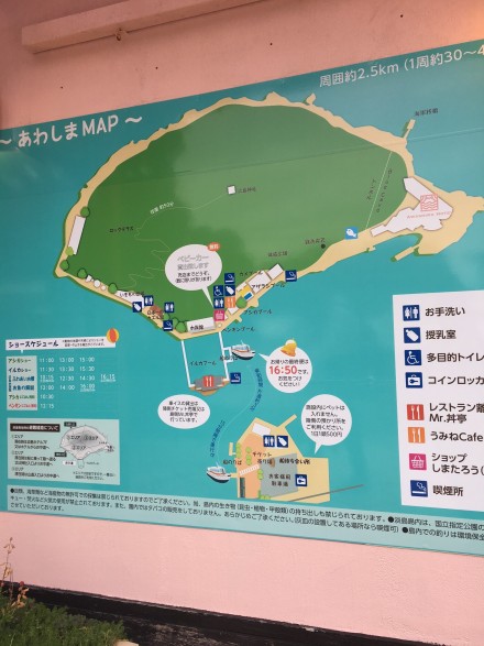 ▲淡島の全景はこんな感じ。周囲約2.5kmほどの小さな島です。