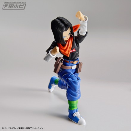fgs_android17_3[1]