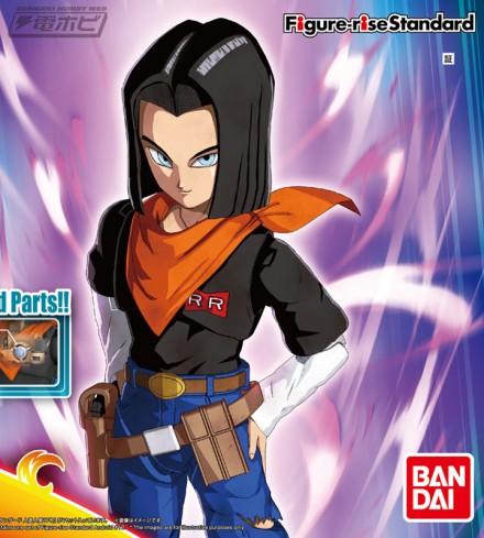 fgs_android17_PAC_[1]