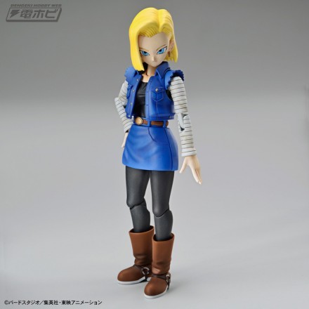 fgs_android18[1]