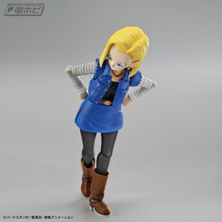 fgs_android18_2[1]