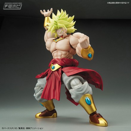 frs_broly_03[1]