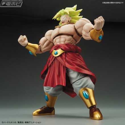 frs_broly_04[1]