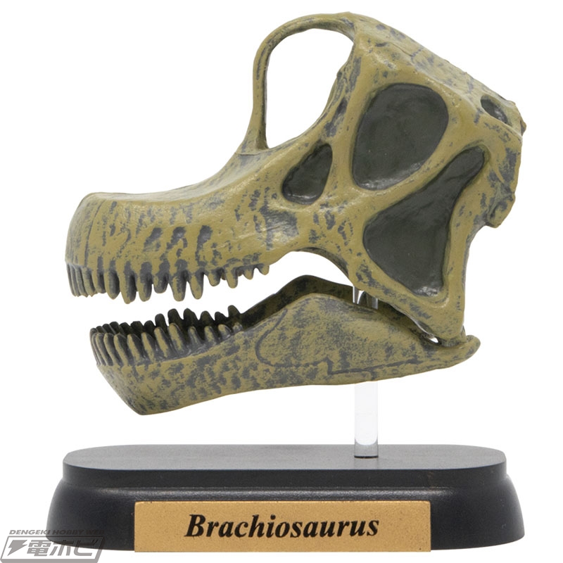 人気恐竜の頭骨フィギュア10種を集めたセットが登場 