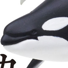 クジラとイルカのリアルなカプセルフィギュア「ネイチャーテクニカラー 